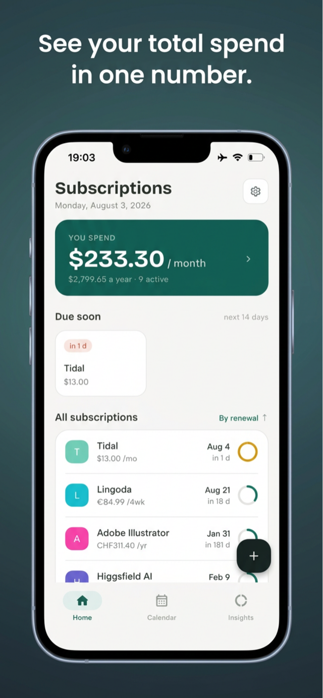 CatchAll screenshot: yearly spending trend and biggest line items