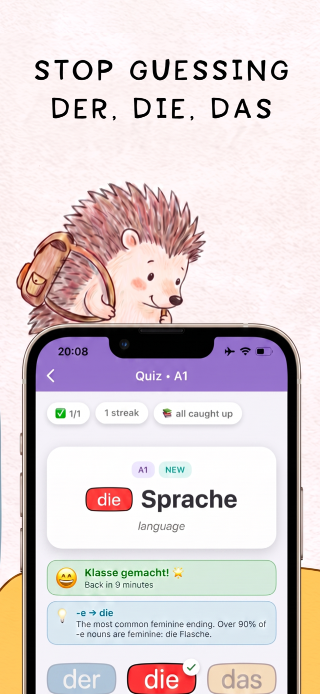 Der Die Das: A1 quiz with streak and progress tracking