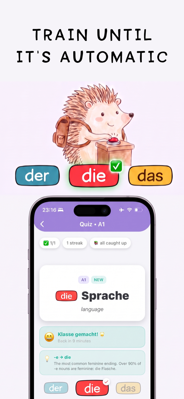 Der Die Das: practice choosing der, die, or das until it is automatic